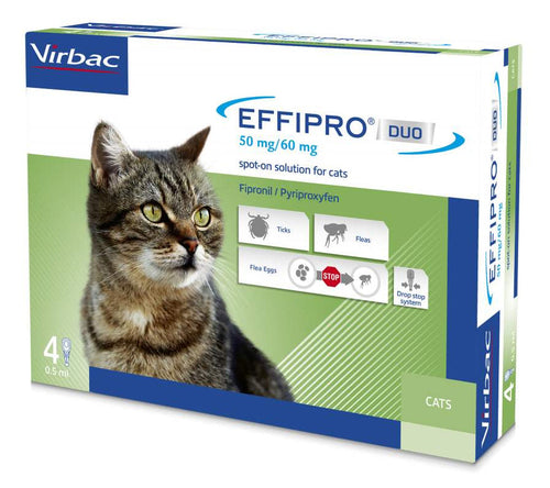 Effipro duo gatto