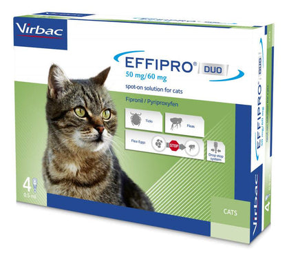 Effipro duo gatto
