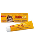 Bolo via pasta