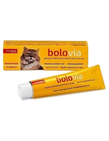 Bolo via pasta