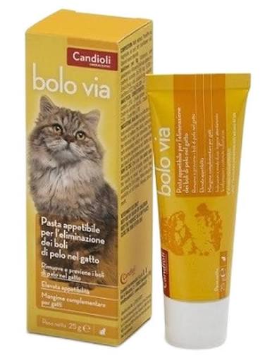 Bolo via pasta